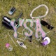 YSA Year of Issa Single