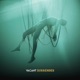 Vacant Surrender Single