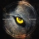 The Wolf Spiral Mosquito Single