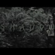 SHADOWS feat HerPiss ALFNZ Single