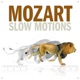 Mozart Slow Motions