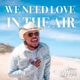 We Need Love in the Air Single