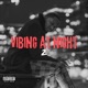 Vibing at Night 2 Deluxe