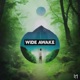 Wide Awake Single