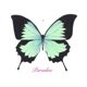 Paradise Single