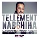 Tellement Nabghiha feat Mounir Aljazairi Single