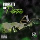 Property of Potentness