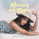 Arroz en Bajo Single