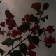 Drought Single