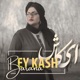 ای کاش Single