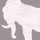 El Elefante Single