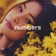 Numbers Single