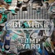 Stomp the Yard Single
