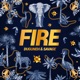 Fire Single