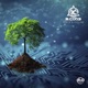 Roots Feeling Single
