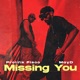 Missing You Remix Single