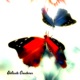 Delicate Creatures Single