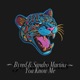 You Know Me Extended Mix Single