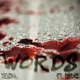Words feat Ohdee Single