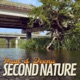Second Nature Single