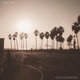 Venice Single
