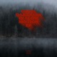 Cruel Darkness in Slow Motion Single