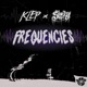 Frequencies feat Stray Single