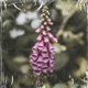 Foxglove Single