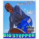 Big Stepper feat Fate Single