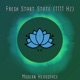 Fresh Start State 1111 Hz Single