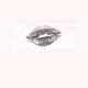 Focus Lately Single
