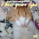 I Kiss Your Lips Single