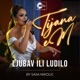Ljubav ili ludilo Live Single