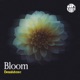 Bloom Single