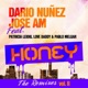 Honey The Remixes Vol 2 feat Patricia Leidig Love Daddy Paul Melgar Single