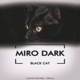 Black Cat Single