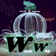 Which Way Single