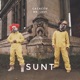 Sunt Single