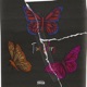 True Colors Single