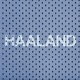 Haaland Single