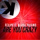 Are You Crazy Single