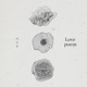 Love Poem Single