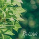 Cool Breeze Single