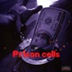 Prison Cells Single