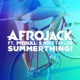 SummerThing feat Pitbull Mike Taylor Single