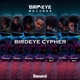 Birdeye Cypher Single