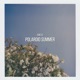 Polaroid Summer Single