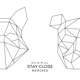 Stay Close Monkeyz Vice Society Remix Single