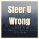 Steer U Wrong feat O2Krazy Colione Neezy Siddawg Single