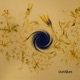 Gravitate Whitsun Single